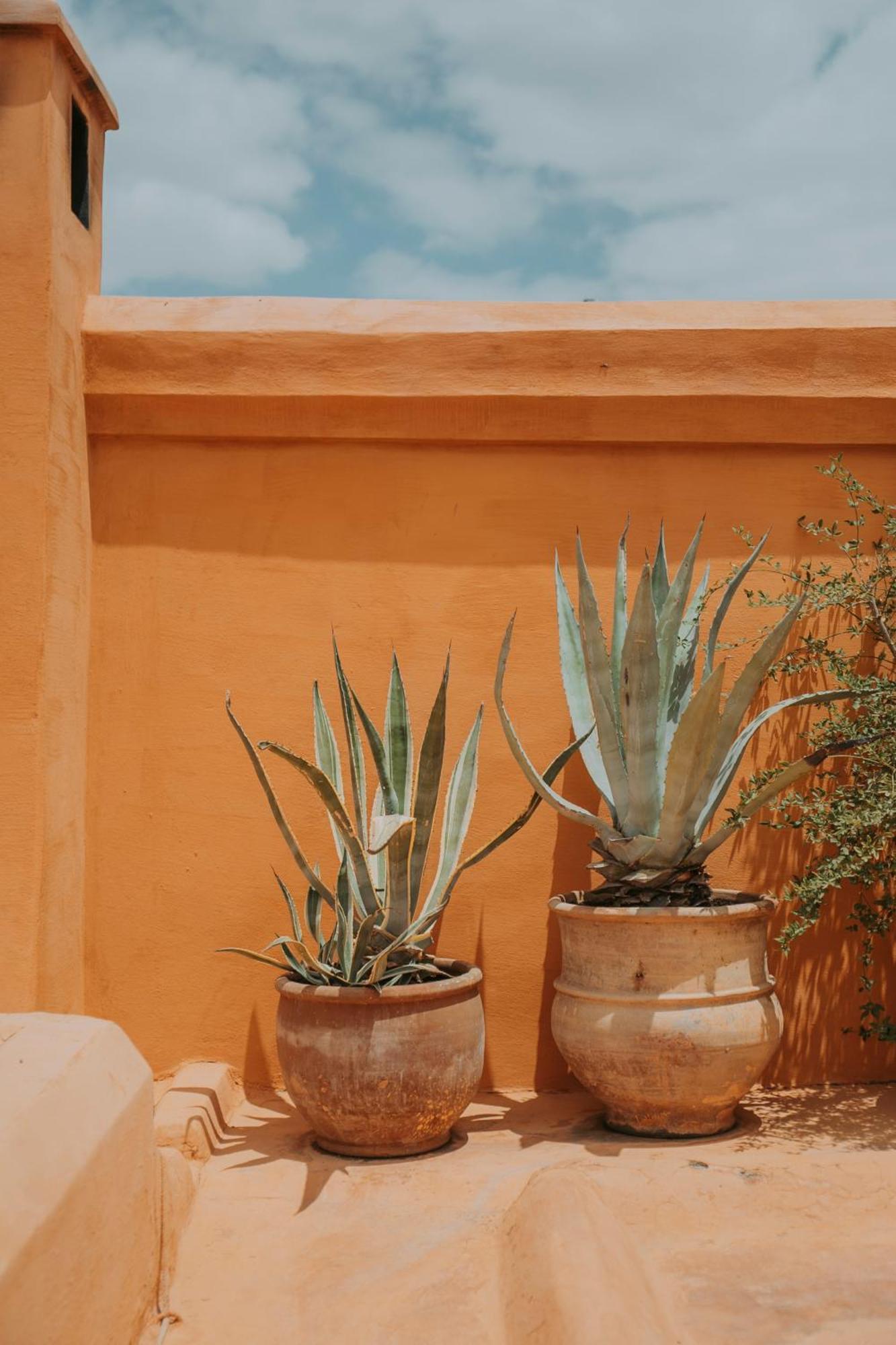 Dar El Qadi Hotell Marrakesh Eksteriør bilde
