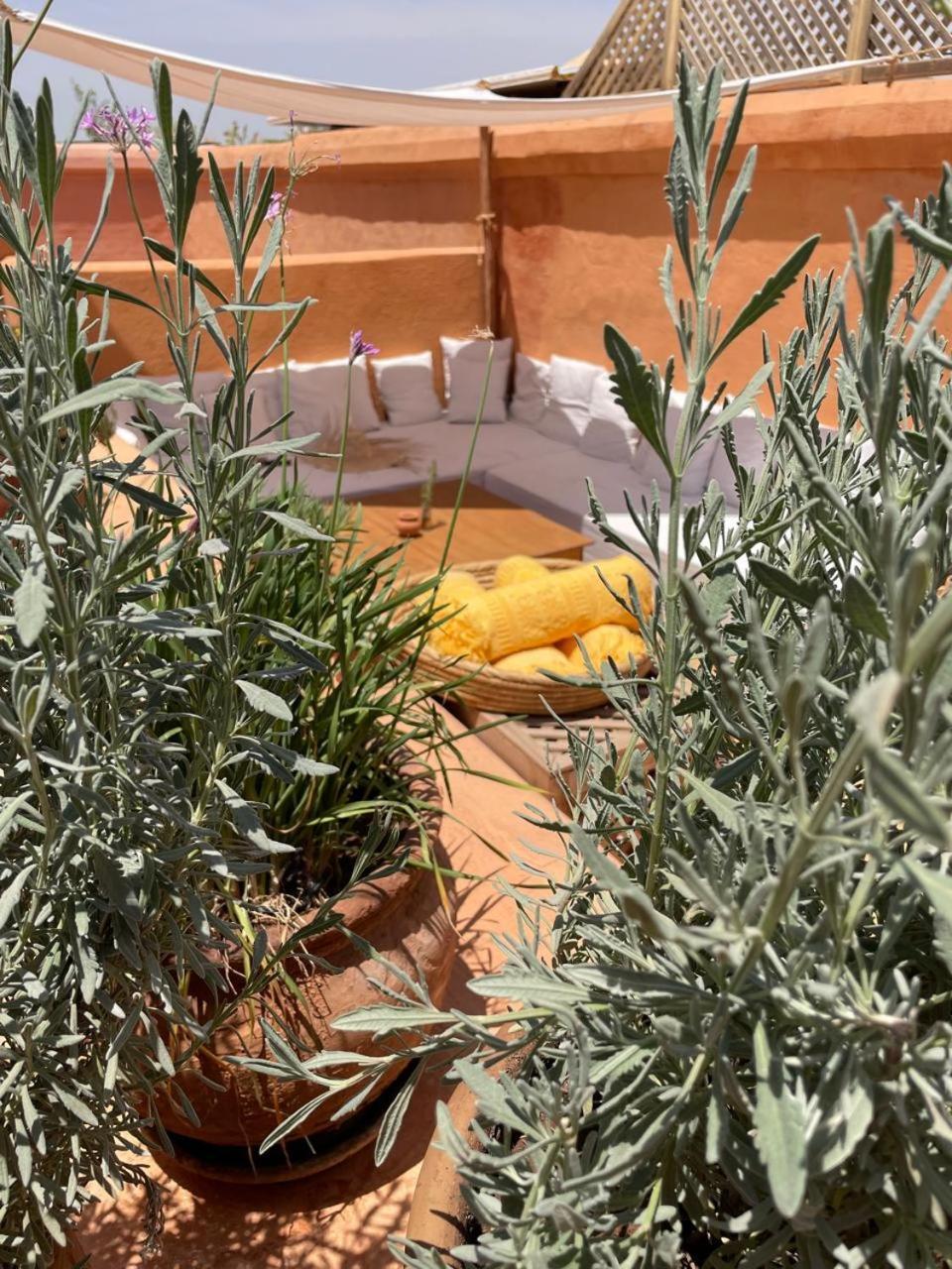 Dar El Qadi Hotell Marrakesh Eksteriør bilde